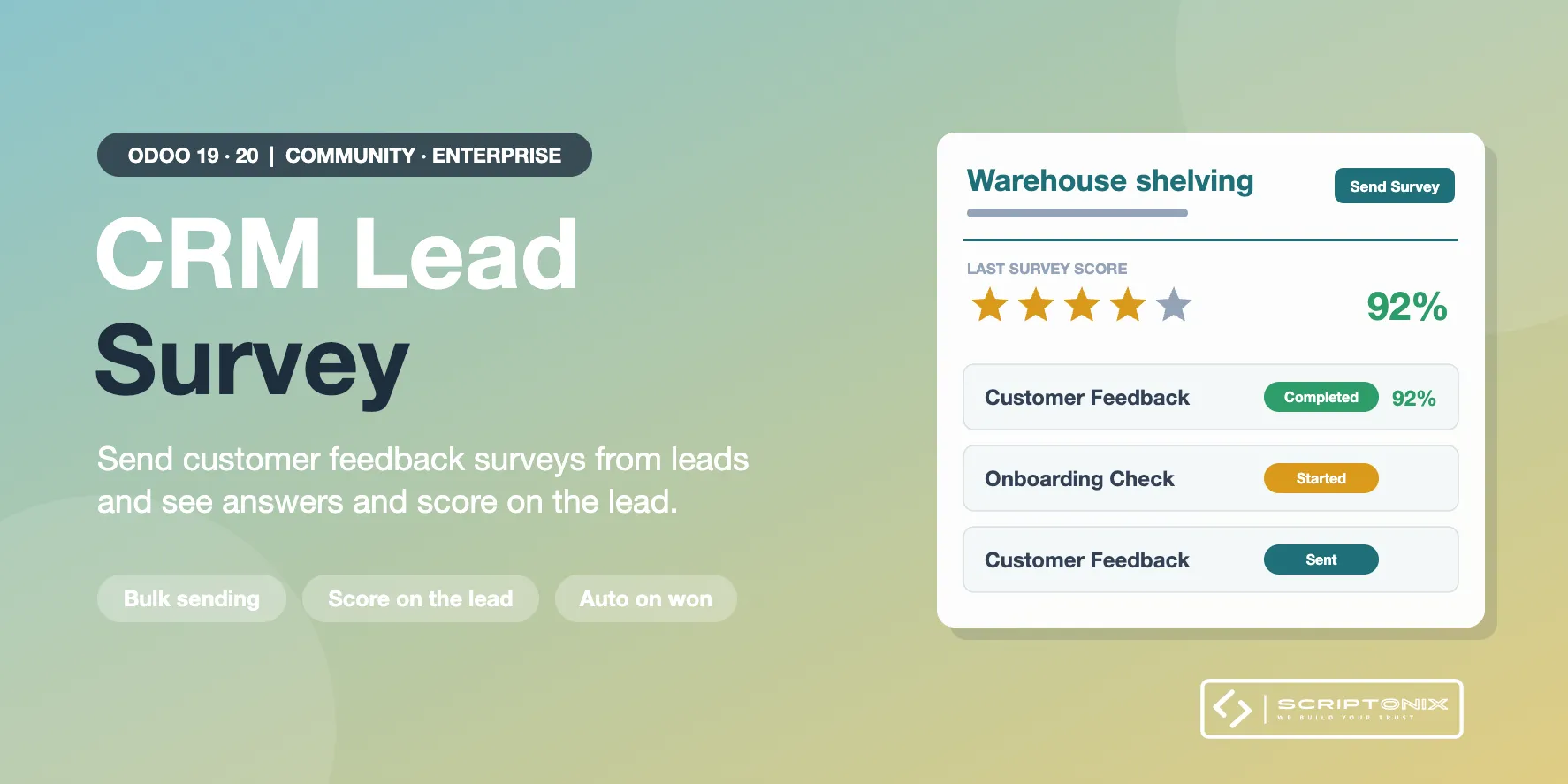 CRM Lead Survey for Odoo 19.0 & 20.0